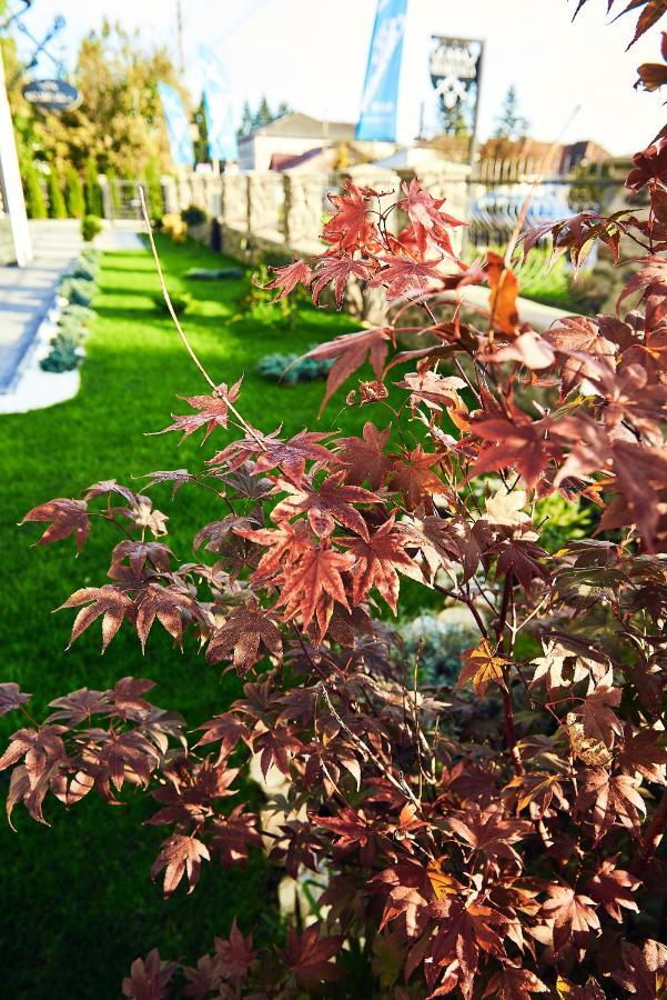 Boutique Hotel Casa Medievala Curtea de Argeş Εξωτερικό φωτογραφία
